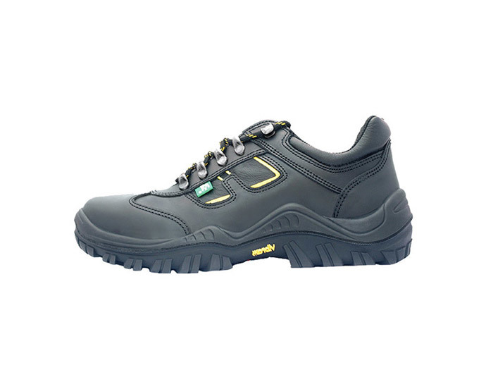 Bova 43601 Rocna Shoe